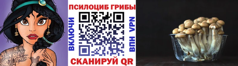 Галлюциногенные грибы мухоморы  Троицк 